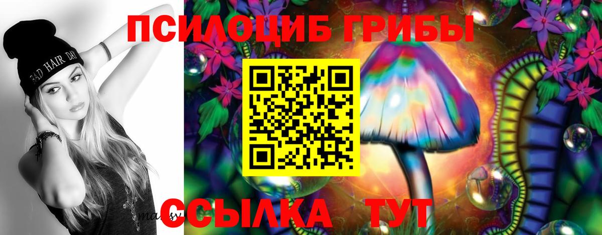 Галлюциногенные грибы Psilocybine cubensis  наркота  Вход с VPN  Кудымкар  Галлюциногенные грибы MAGIC MUSHROOMS 